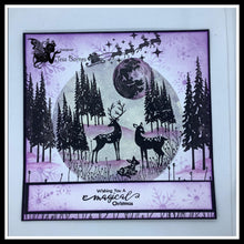 Load image into Gallery viewer, Fairy Hugs Stamps -  Woodland Family
