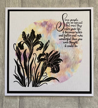 Load image into Gallery viewer, Fairy Hugs Stamps - Some People
